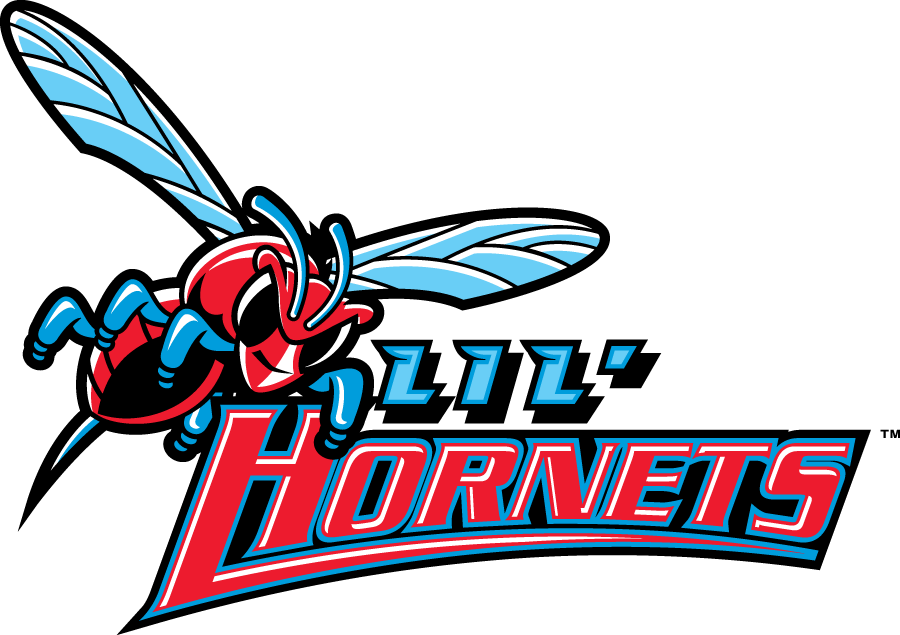 Delaware State Hornets 2004-Pres Misc Logo diy iron on heat transfer
